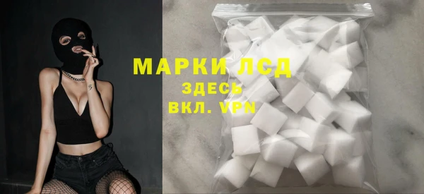 стаф Бежецк