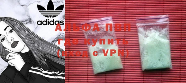 стаф Бежецк