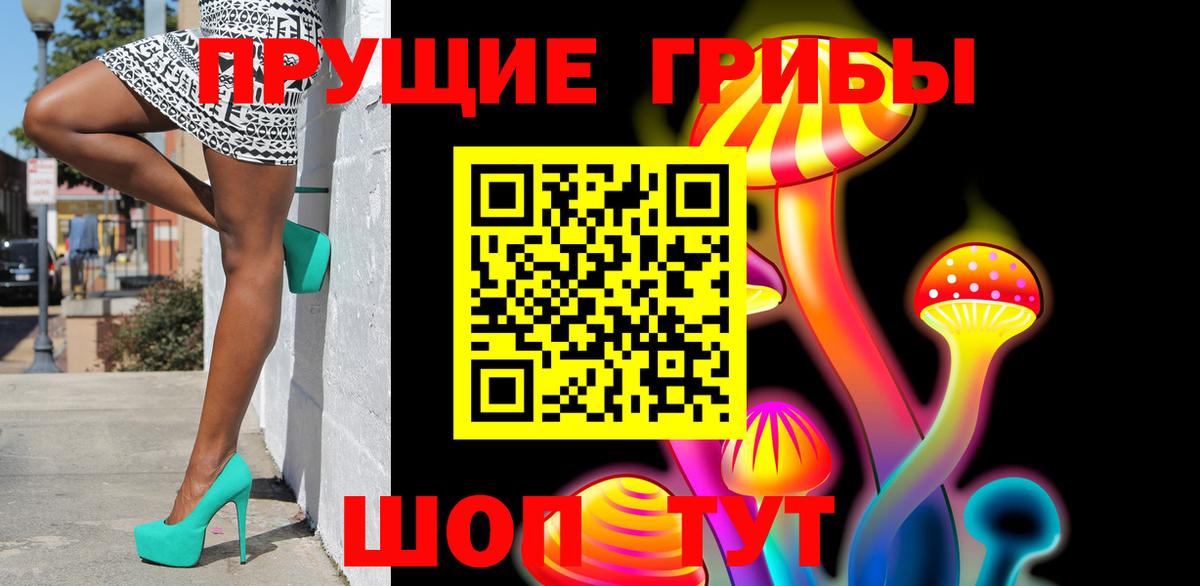 купить наркотик  Псилоцибиновые грибы Psilocybine cubensis  Вход с VPN  Серпухов  Псилоцибиновые грибы MAGIC MUSHROOMS 