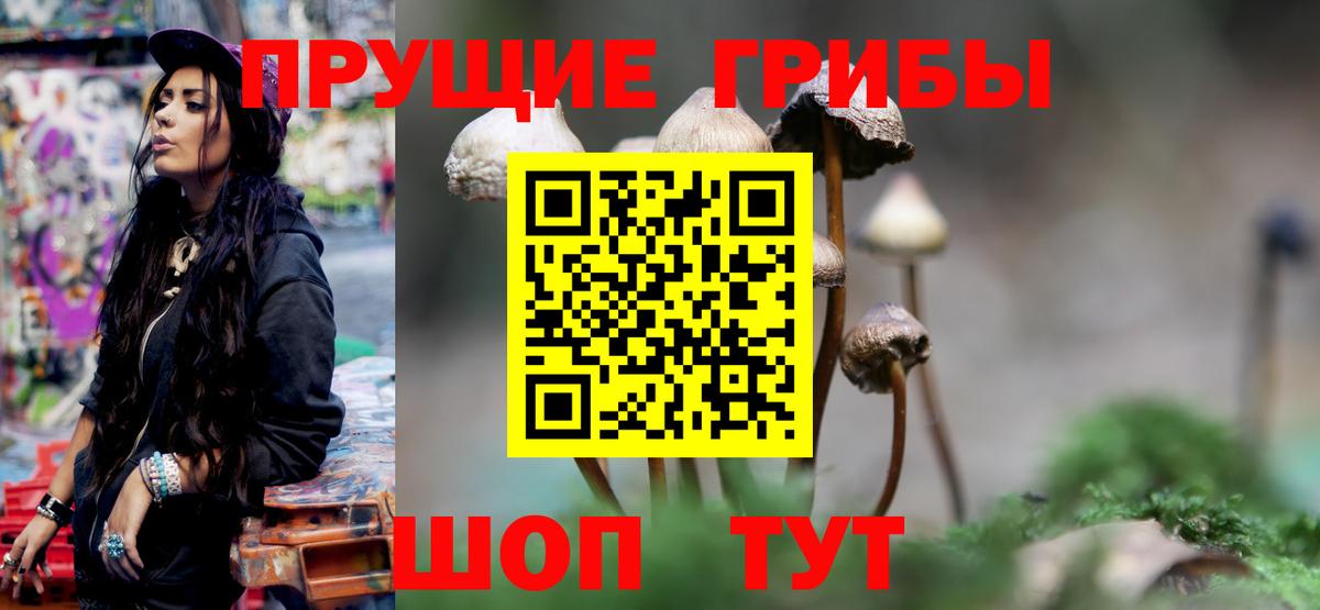 Псилоцибиновые грибы Psilocybine cubensis Серпухов